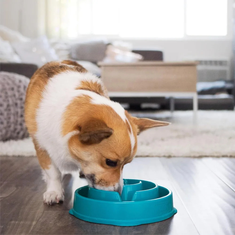 Outward Hound Slow Feeder Puzzle Bowl For Fast Eaters