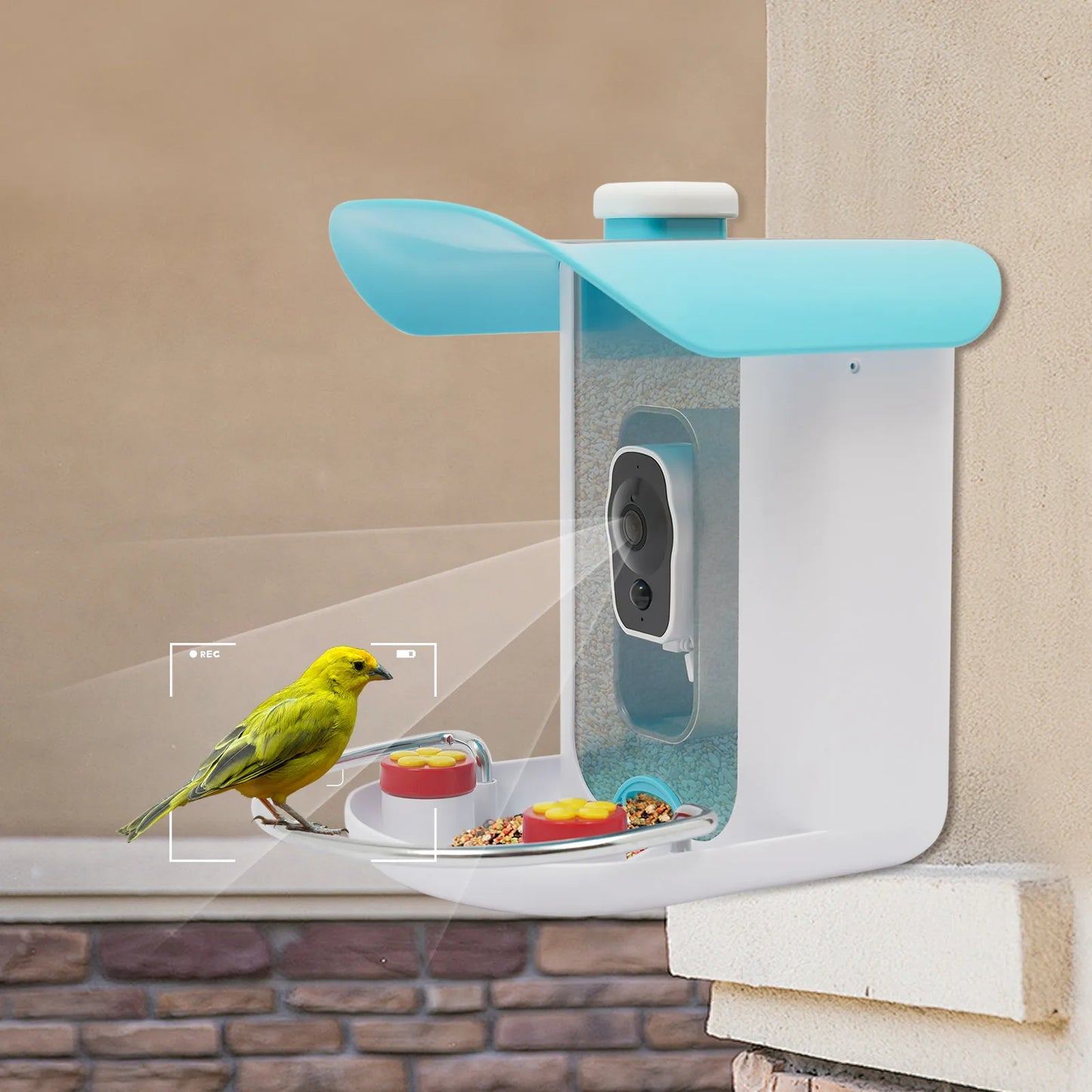 Smart Bird Feeder With Camera Outdoor Auto Capture Solar Panel