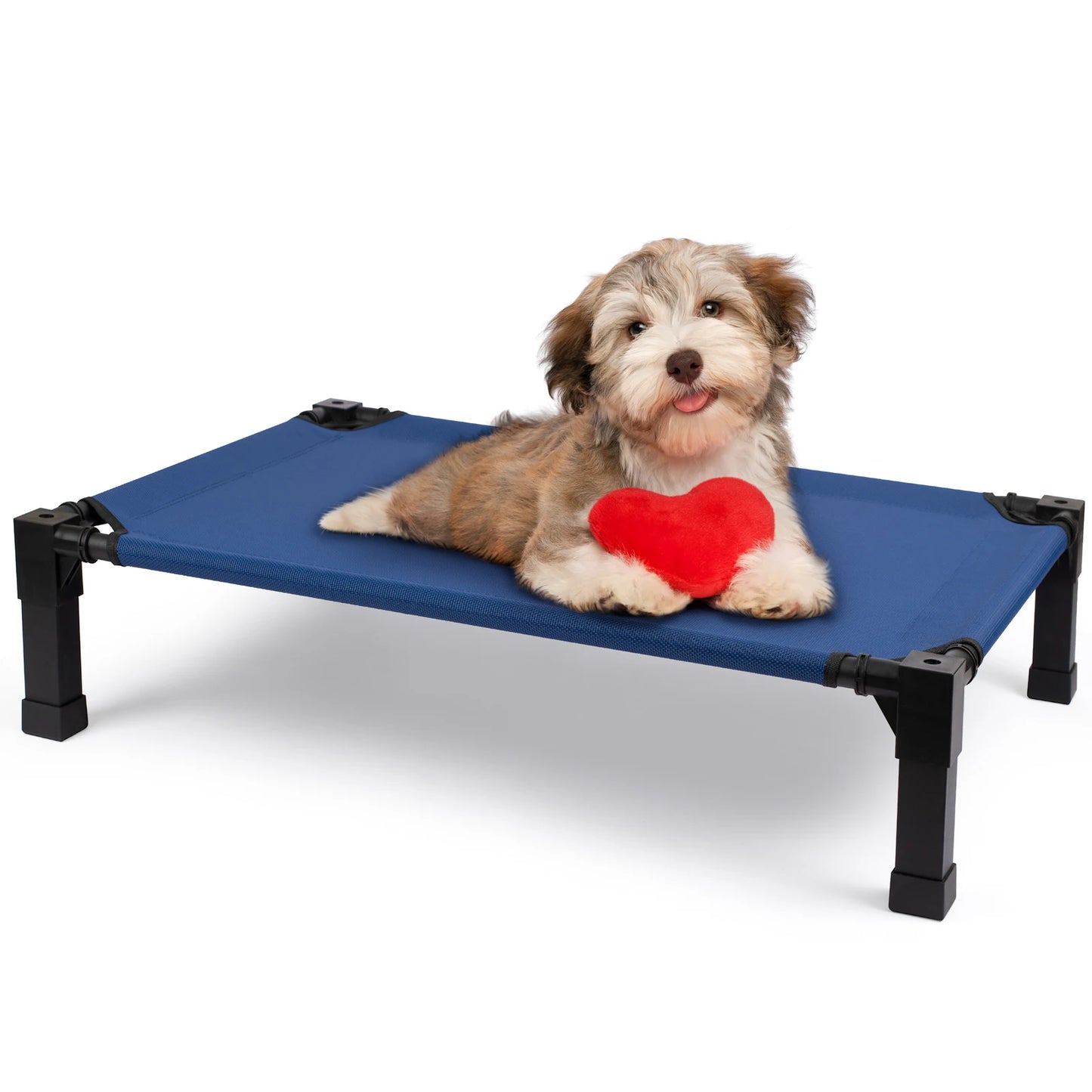 None Elevated Dog Bed Cooling Raised Pet Cot Chew Proof