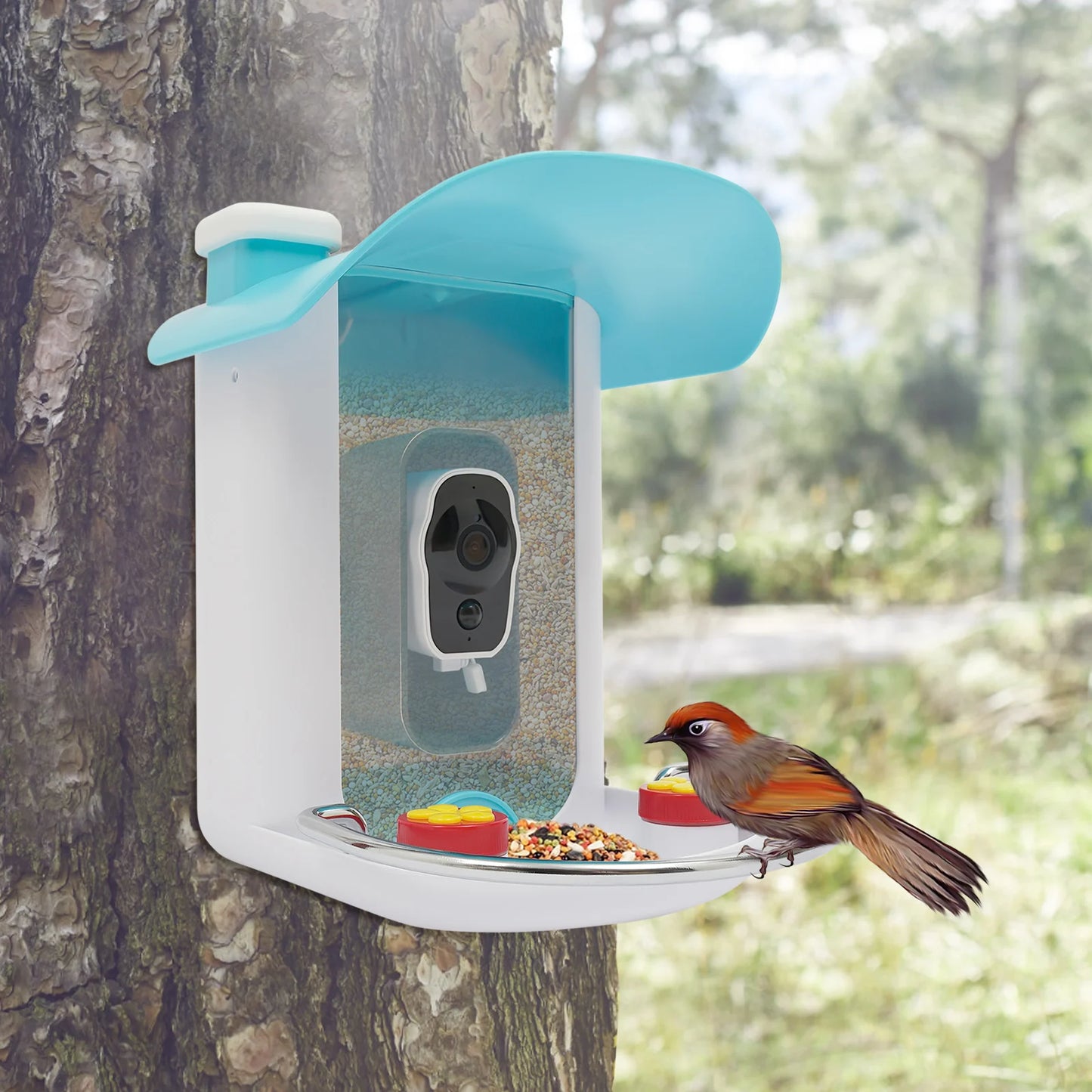 Smart Bird Feeder With Camera Outdoor Auto Capture Solar Panel
