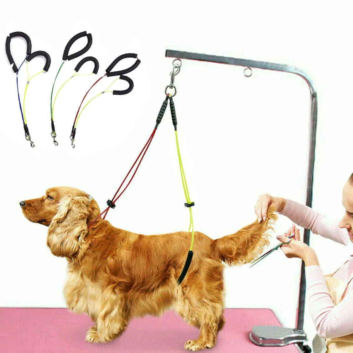 Adjustable Pet Grooming Loop Table Leash With D Ring Strap