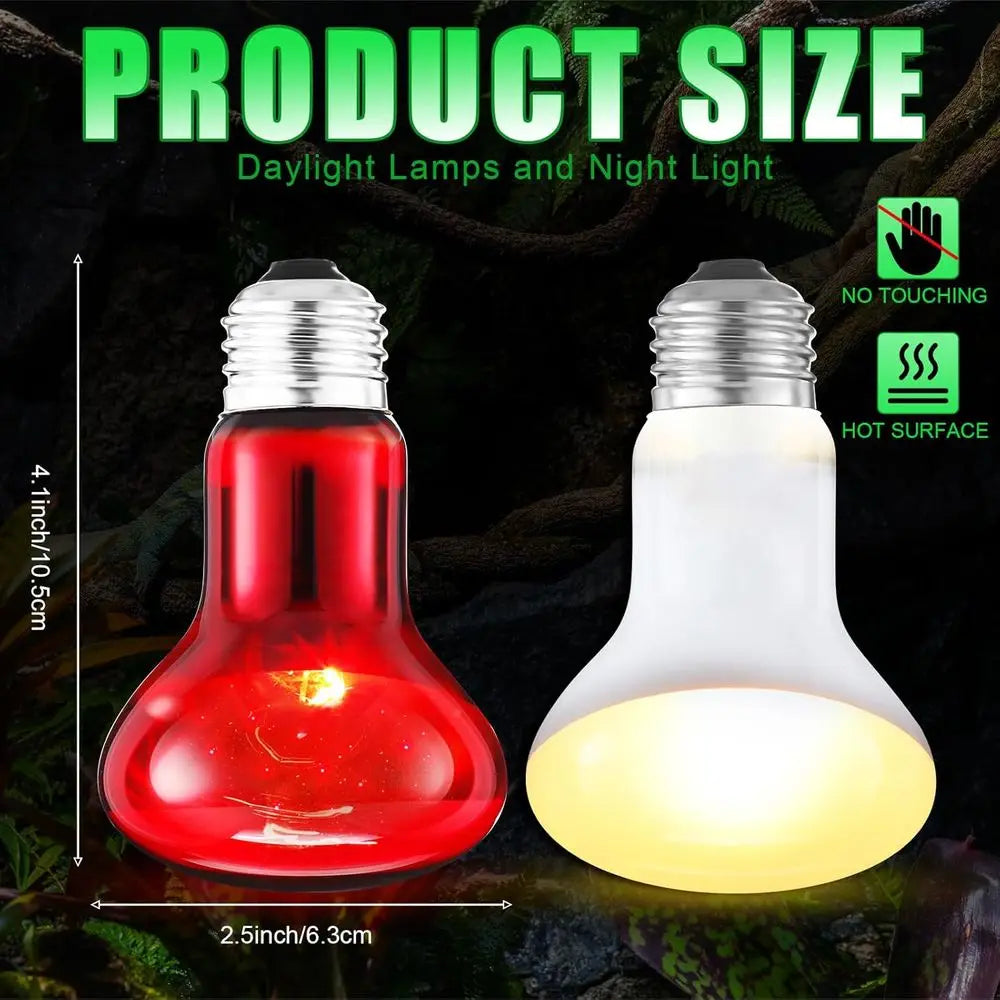 Ten Pack 75W Reptile Heat Lamp Bulbs Day Night Set