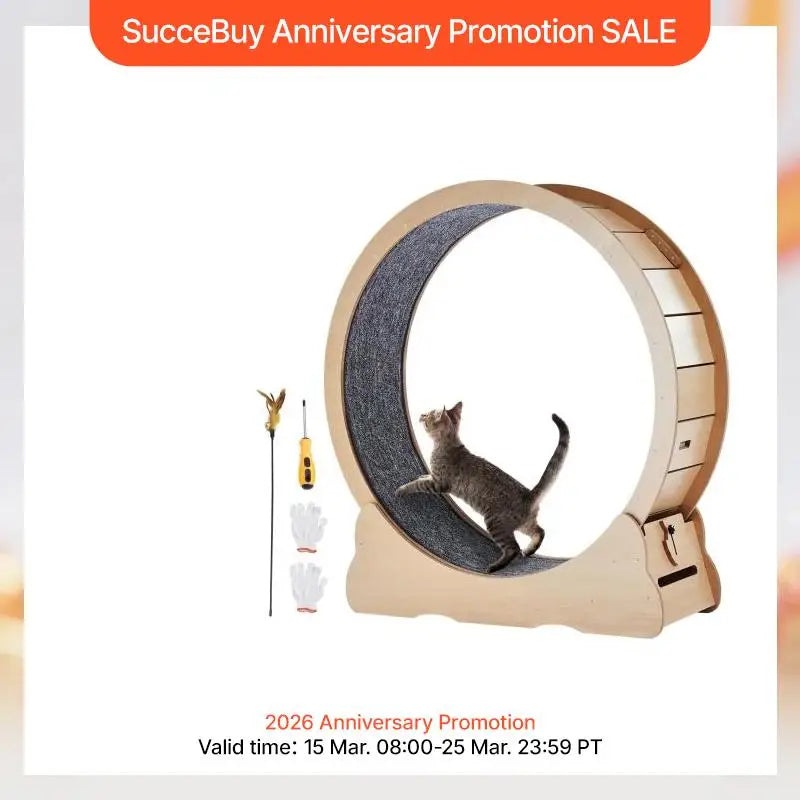 SucceBuy Wooden Cat Exercise Wheel Treadmill For Indoor Cats