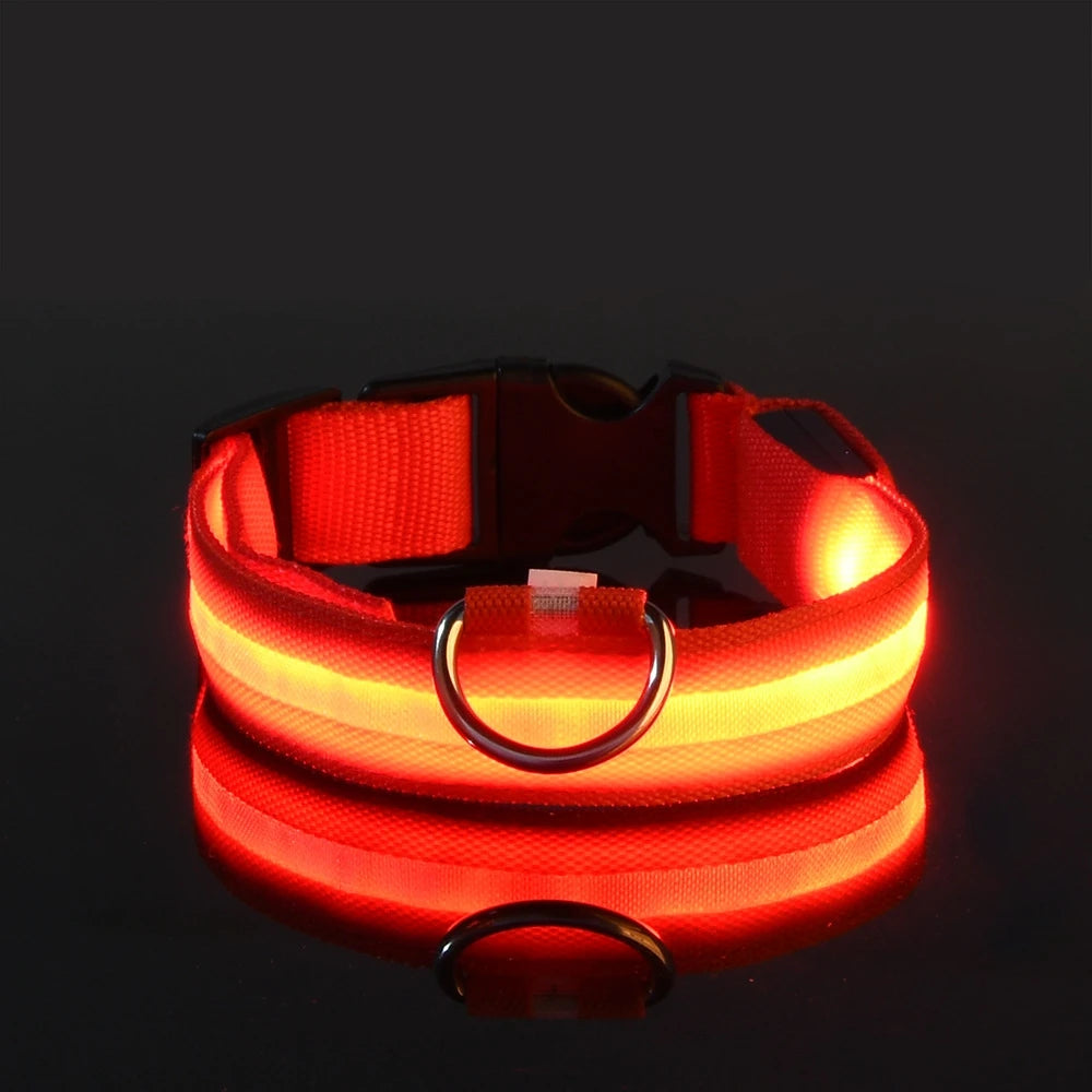 Nylon LED Night Safety Dog Leash Luminous Fluorescent Collar