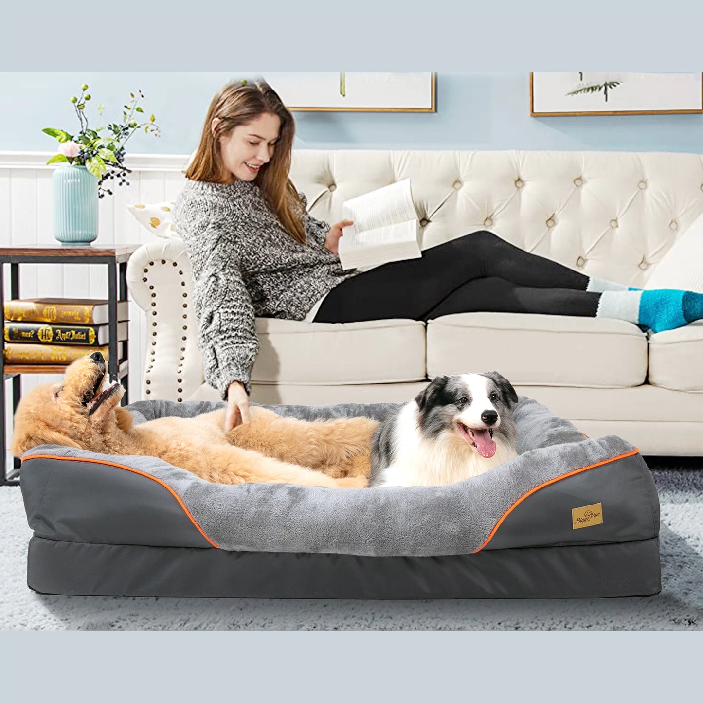 BINGOPAWCN Anti Allergy Dog Bed With Removable Washable Cover Waterproof