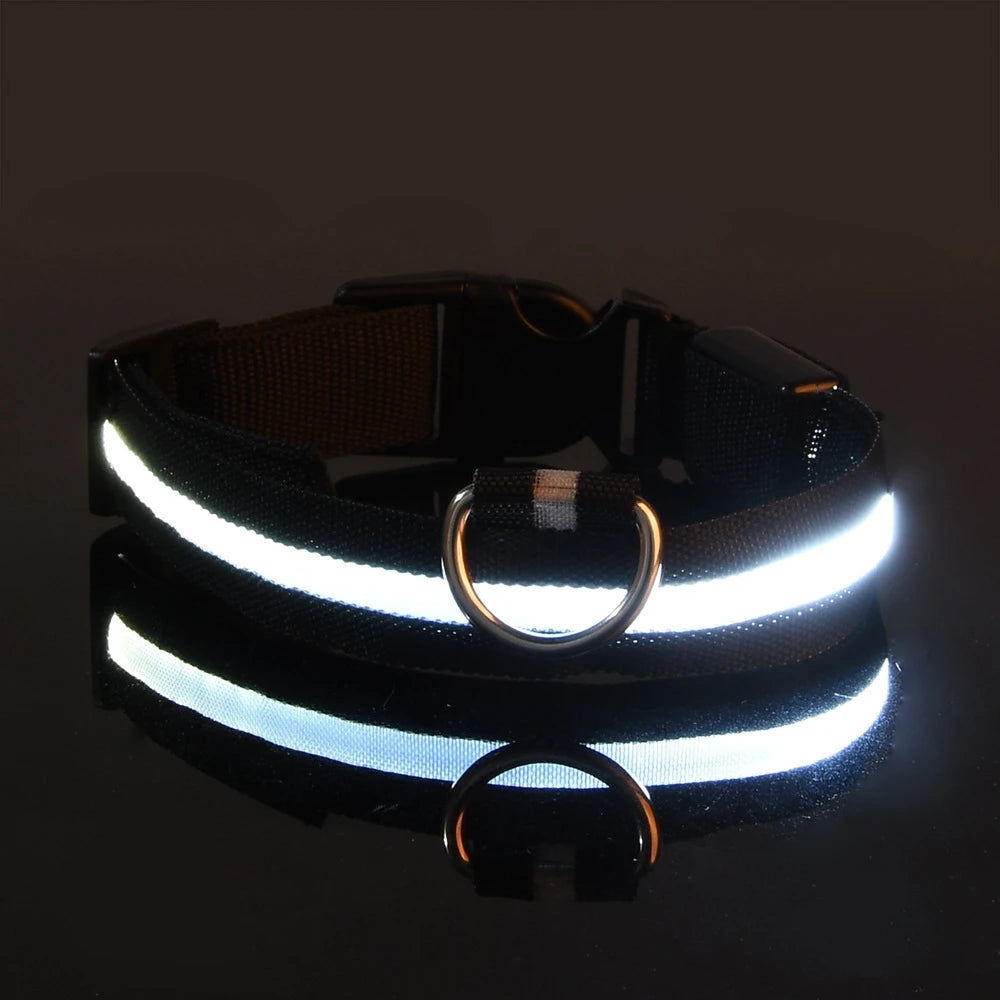 Nylon LED Night Safety Dog Leash Luminous Fluorescent Collar