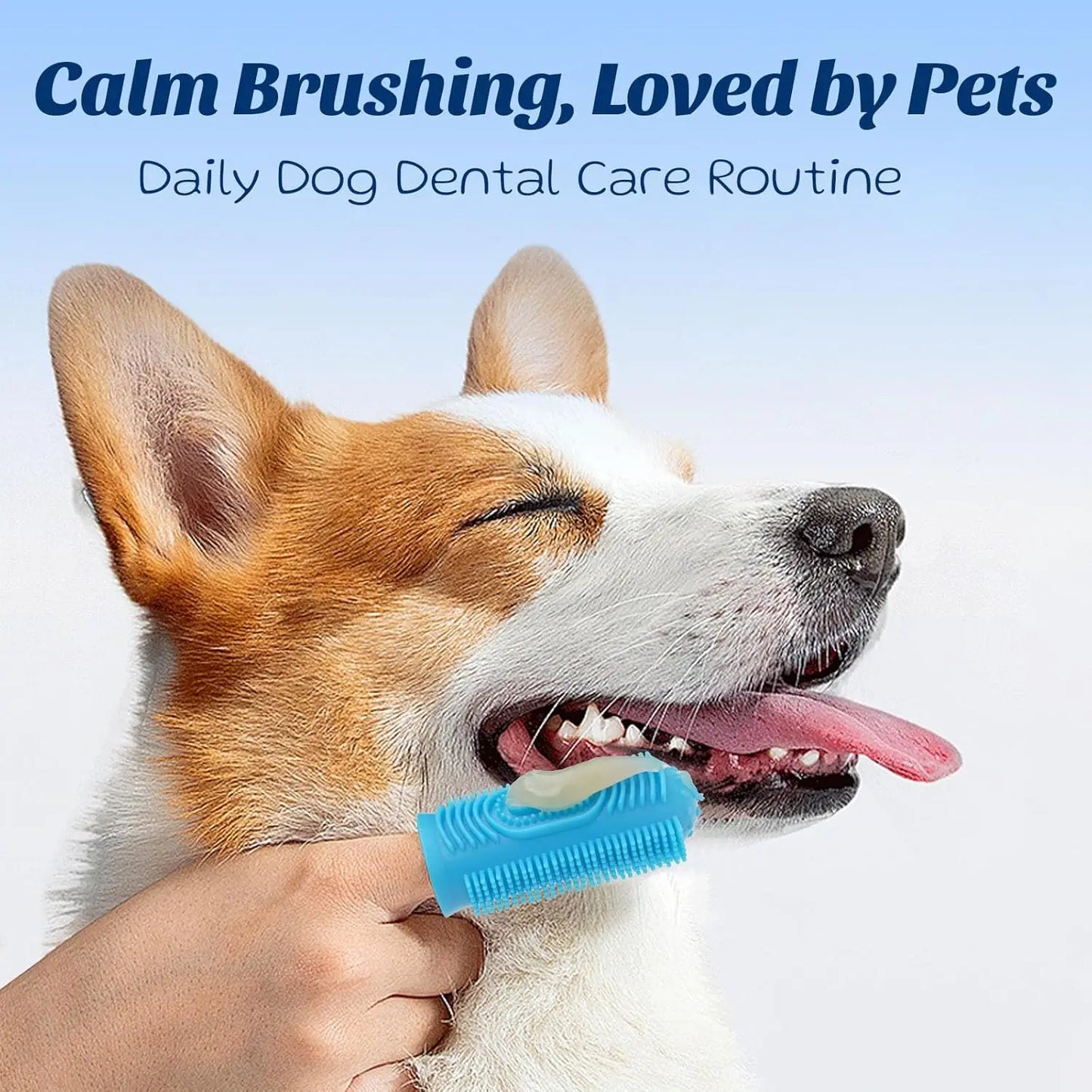 XMSJ Professional Dog And Cat Toothpaste Kit Chicken Coconut Flavor