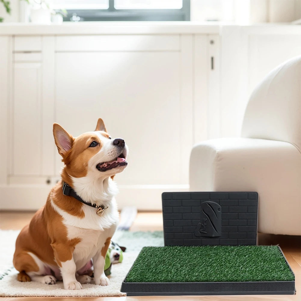 None Dog Grass Pad With Large Tray Puppy Turf Potty