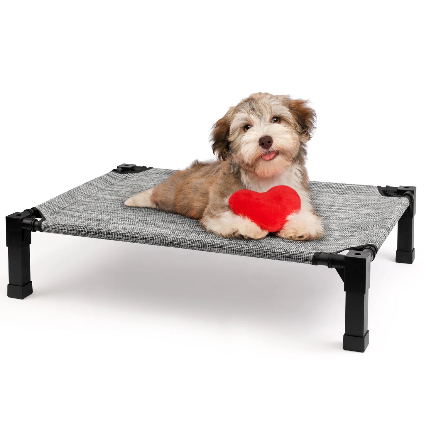 None Elevated Dog Bed Cooling Raised Pet Cot Chew Proof