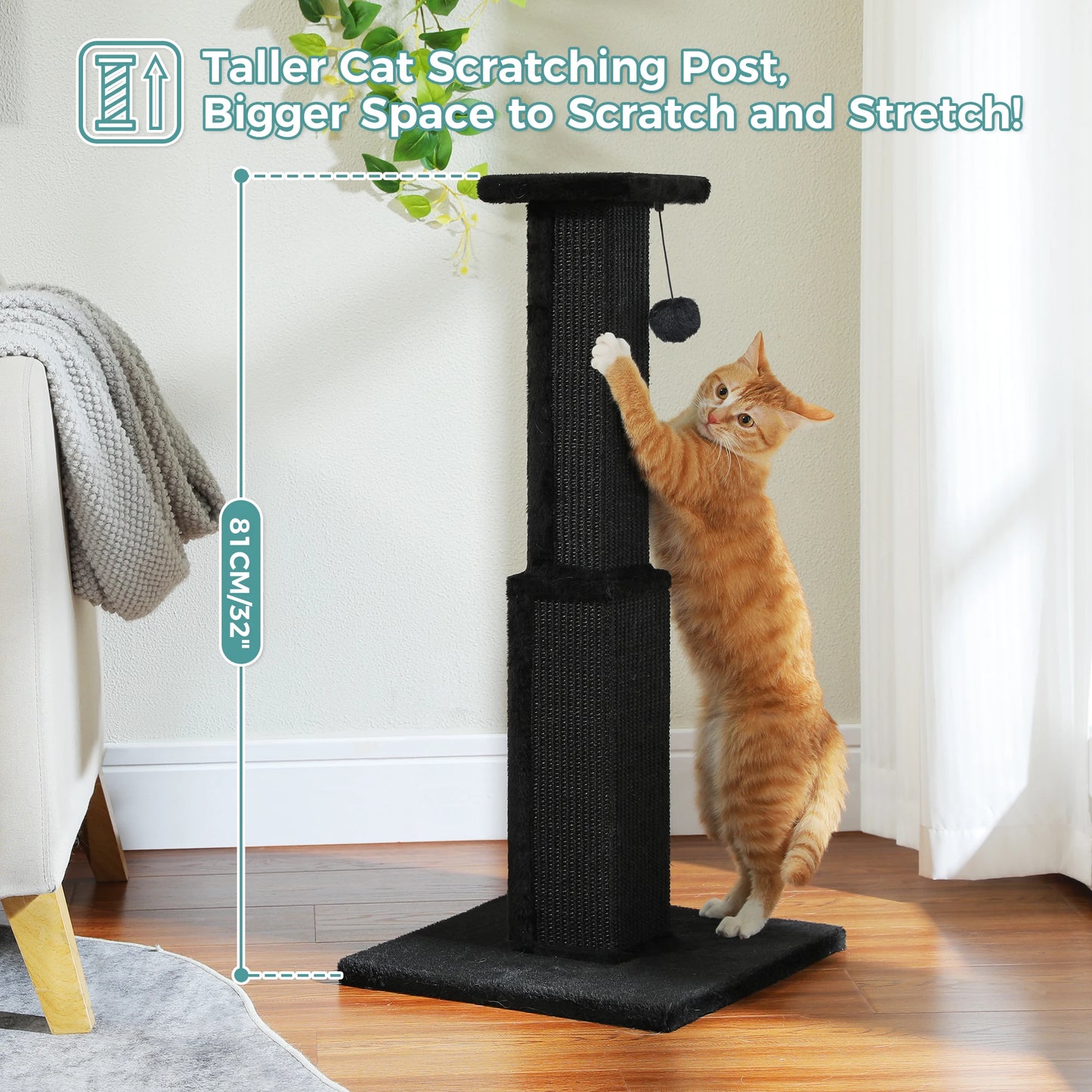 PAWZ Road Cat Scratching Post Indoor Sisal Dangling Ball Toy