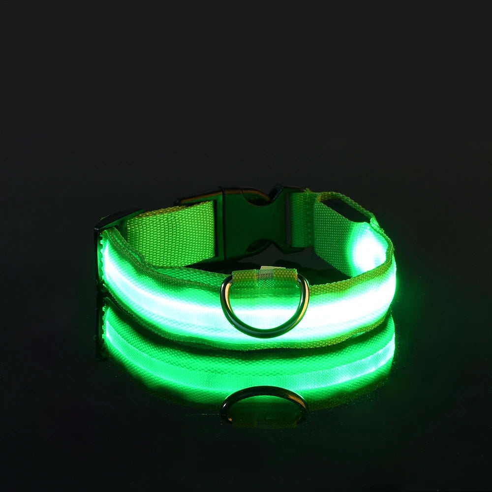 Nylon LED Night Safety Dog Leash Luminous Fluorescent Collar