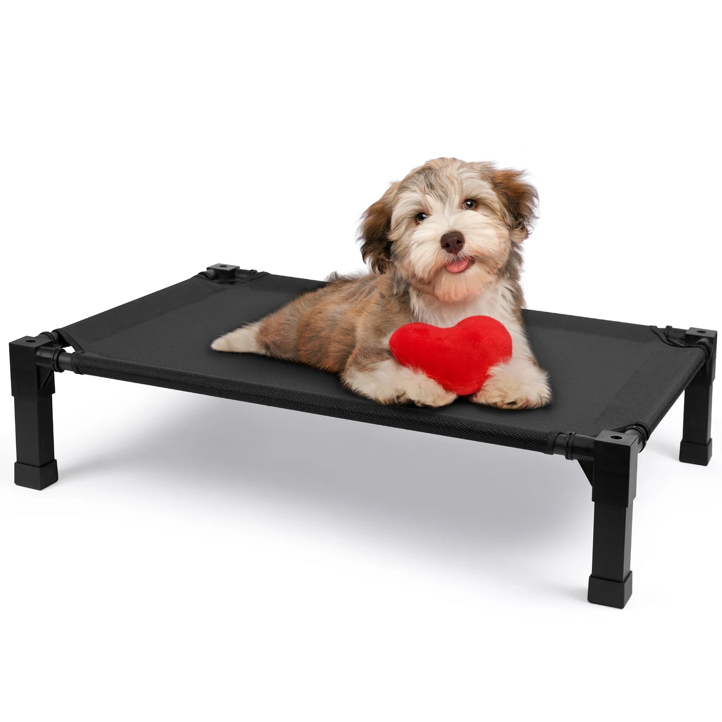 None Elevated Dog Bed Cooling Raised Pet Cot Chew Proof