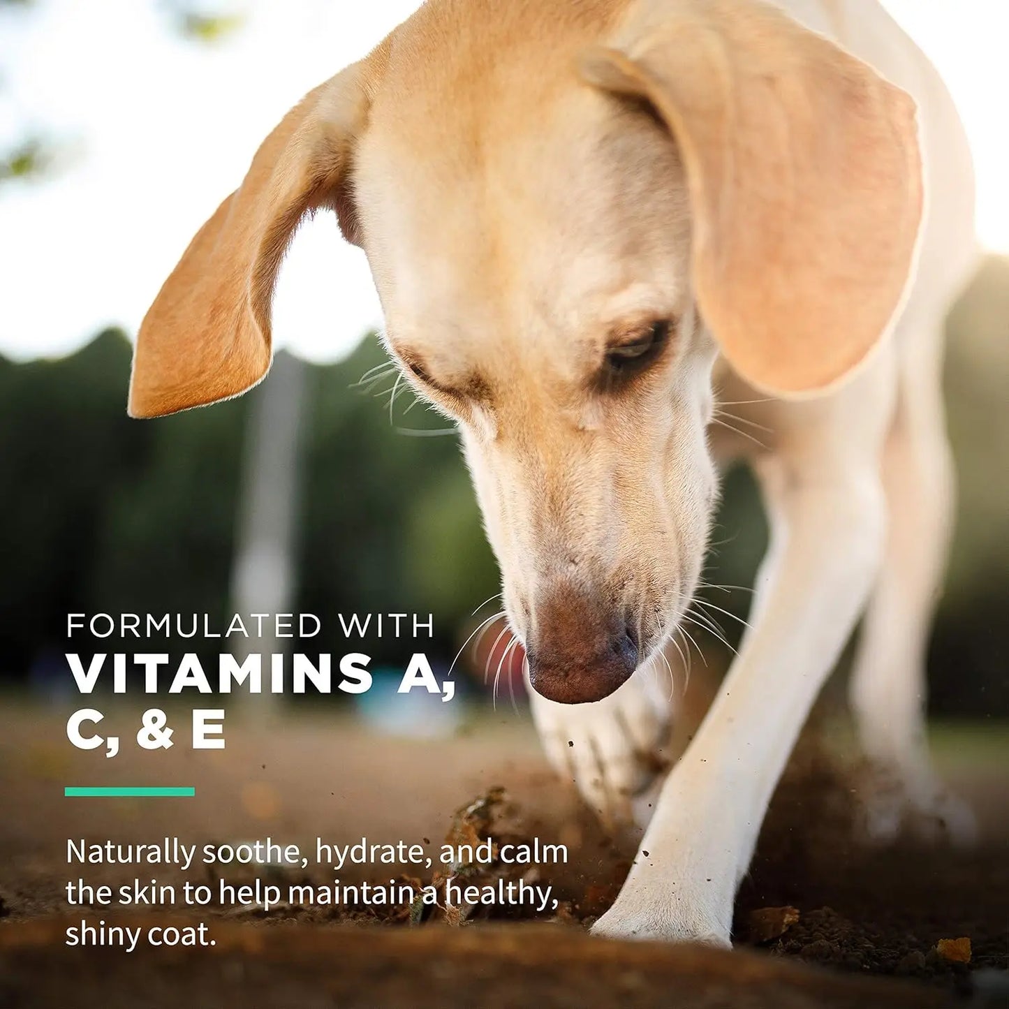 XMSJ Gentle Dog Wipes With Vitamins A C E FragranceFree