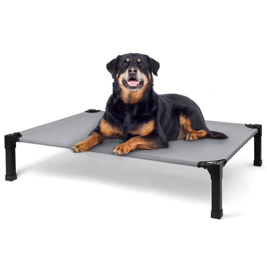 None Elevated Dog Bed Cooling Raised Pet Cot Chew Proof