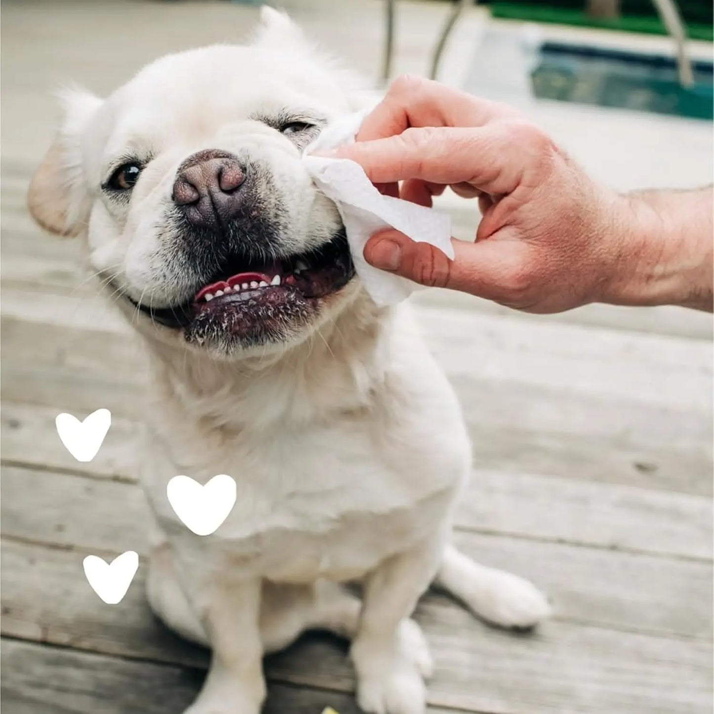 Earthbath Hypoallergenic Pet Eye Wipes For Dogs And Cats