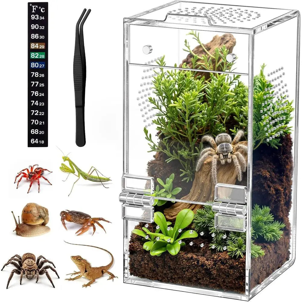 Jumping Spider Enclosure Acrylic Terrarium With Magnetic Door And Ventilation