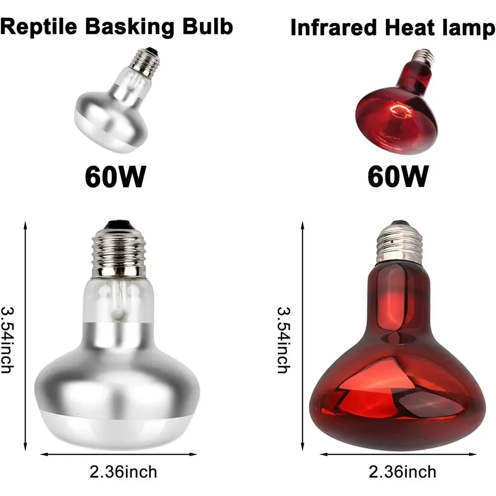 Reptile Heat Lamp Fixture With 60W Basking And Infrared Bulbs