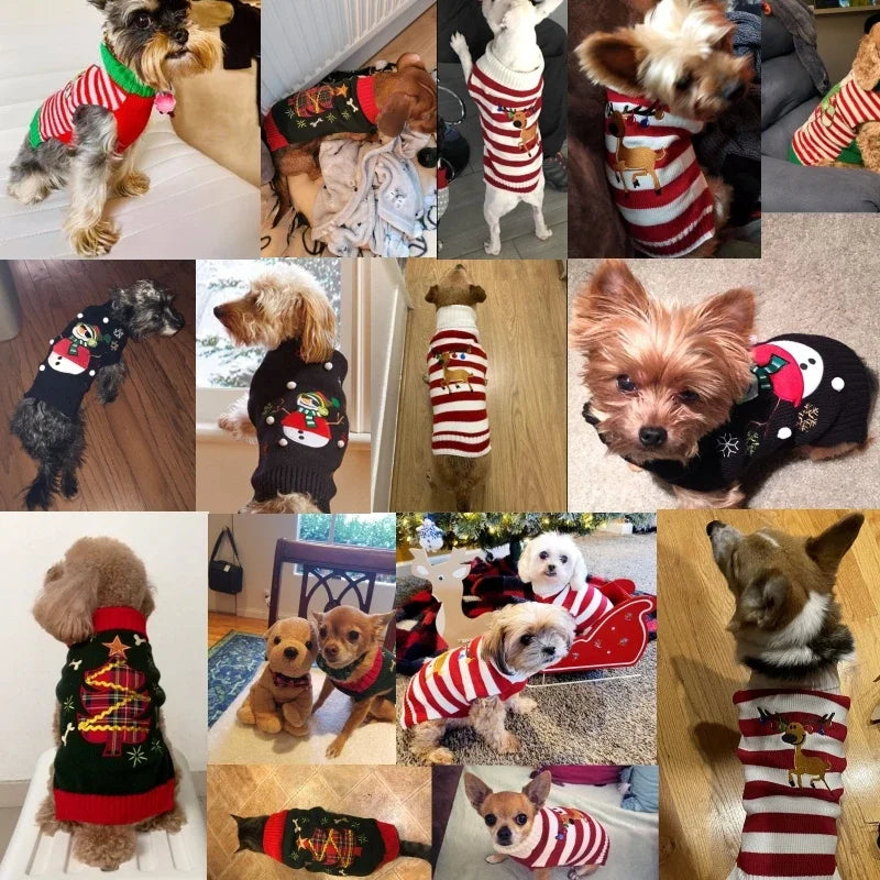 NONECN Wool Winter Dogs Sweater Coat Striped Knitted Outfit