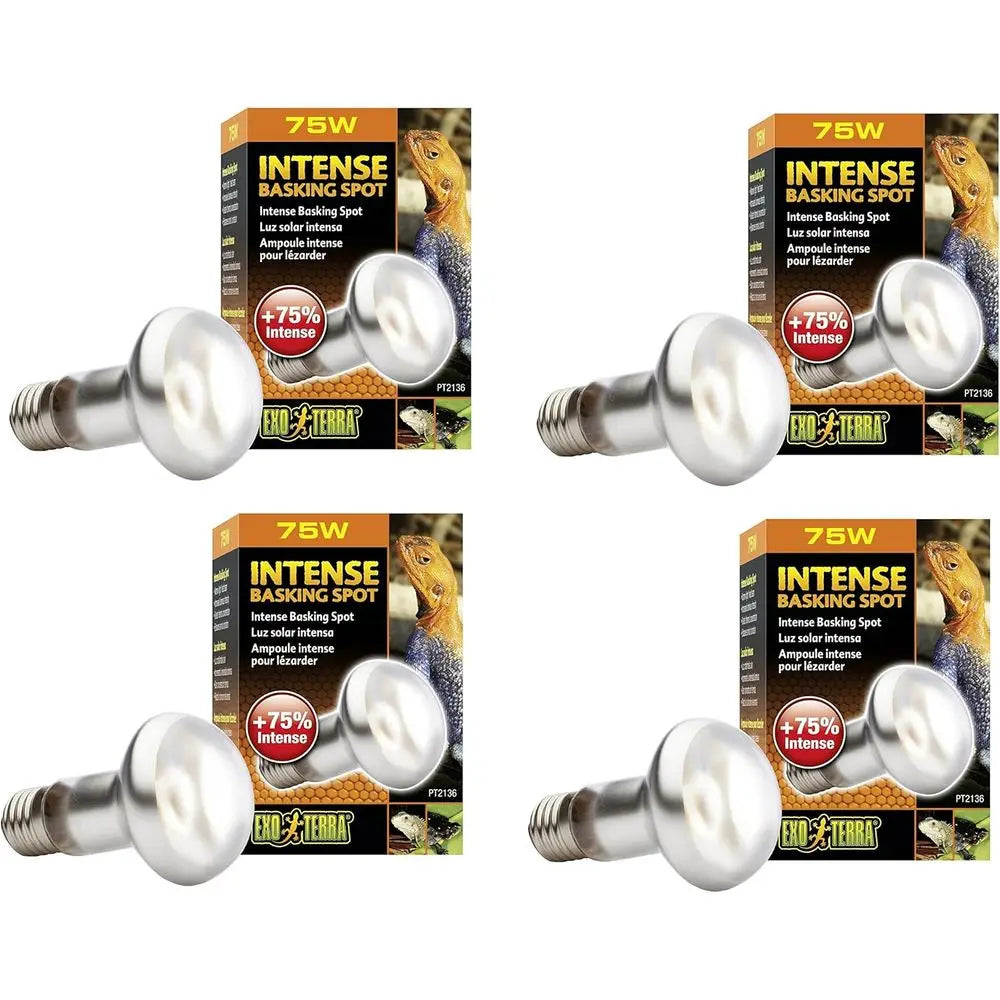 Sun-Glo Basking Infrared Spot Lamp 75W Pack of 4 Units