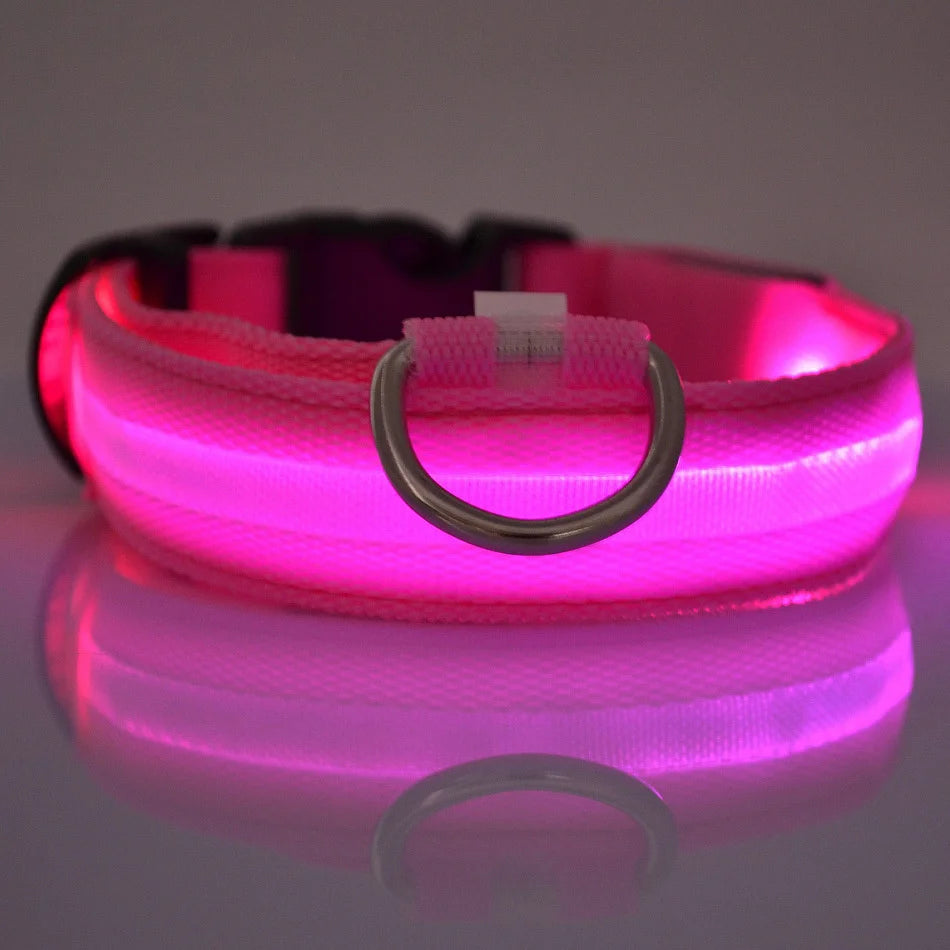Nylon LED Night Safety Dog Leash Luminous Fluorescent Collar