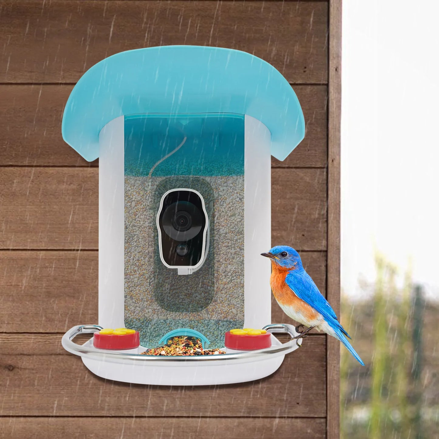 Smart Bird Feeder With Camera Outdoor Auto Capture Solar Panel