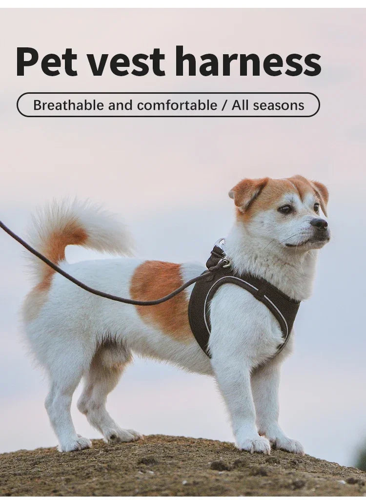 Dog Harness Leash Set Reflective Adjustable Pet Vest For Outdoors