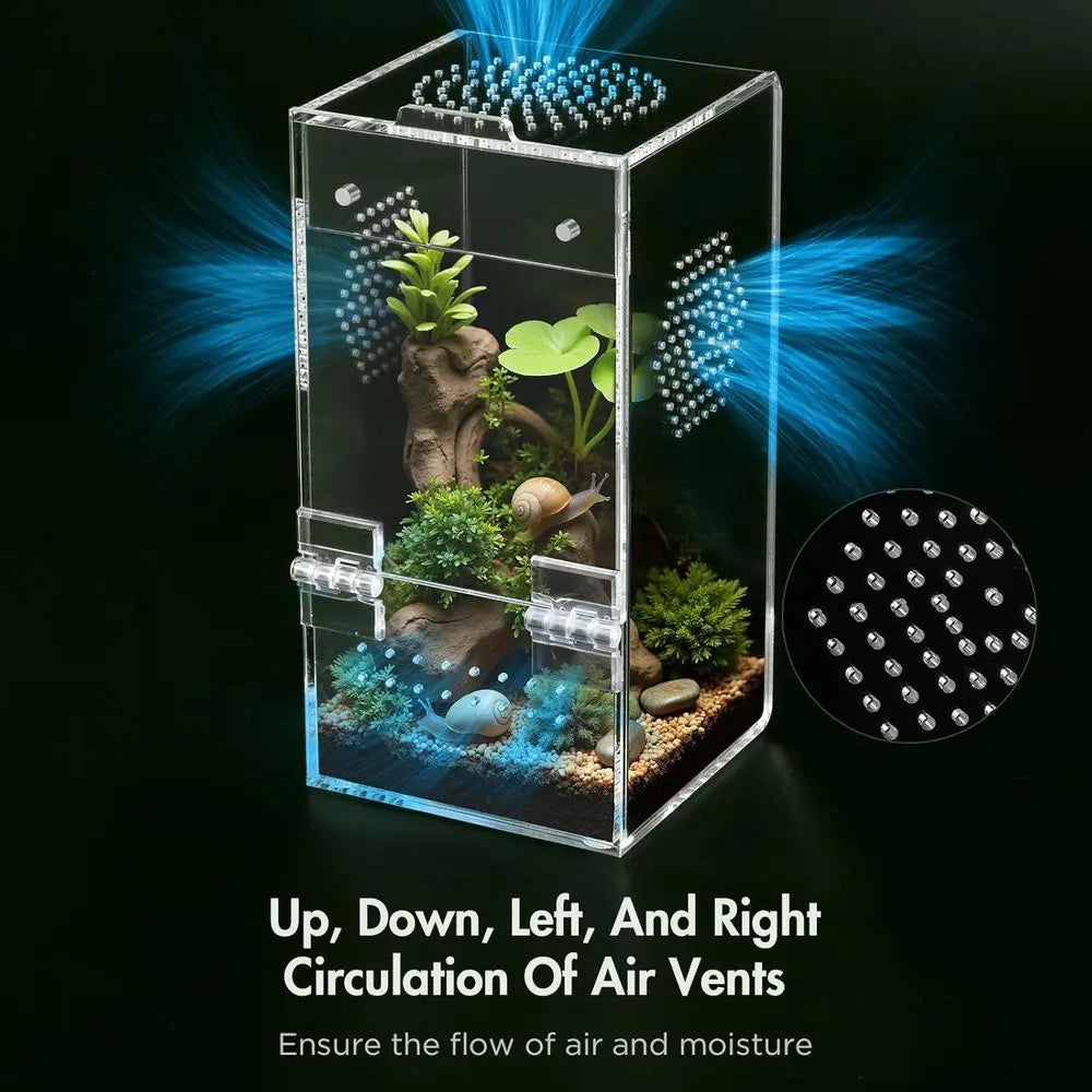 Jumping Spider Enclosure Acrylic Terrarium With Magnetic Door And Ventilation
