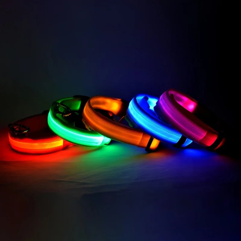 Nylon LED Night Safety Dog Leash Luminous Fluorescent Collar