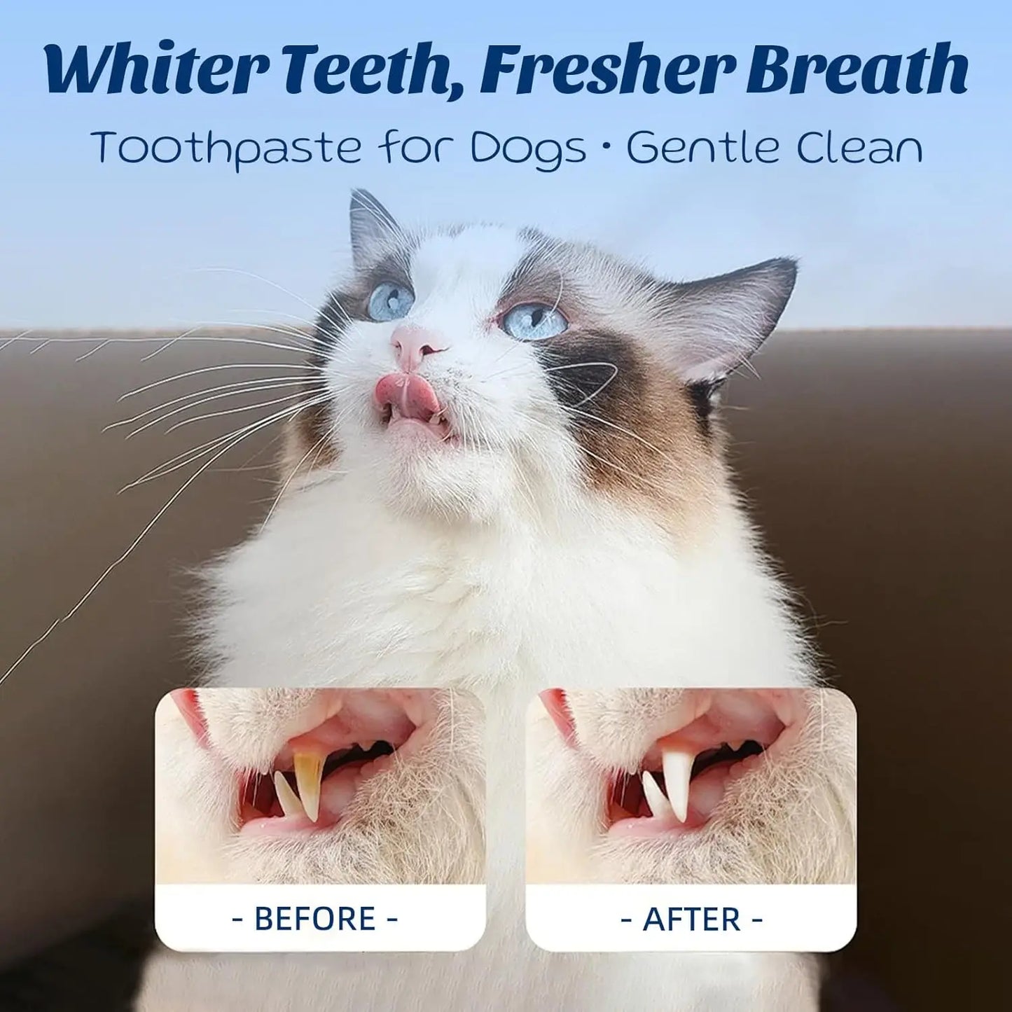 XMSJ Professional Dog And Cat Toothpaste Kit Chicken Coconut Flavor