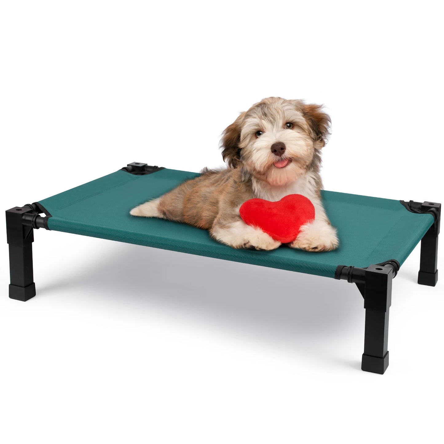None Elevated Dog Bed Cooling Raised Pet Cot Chew Proof