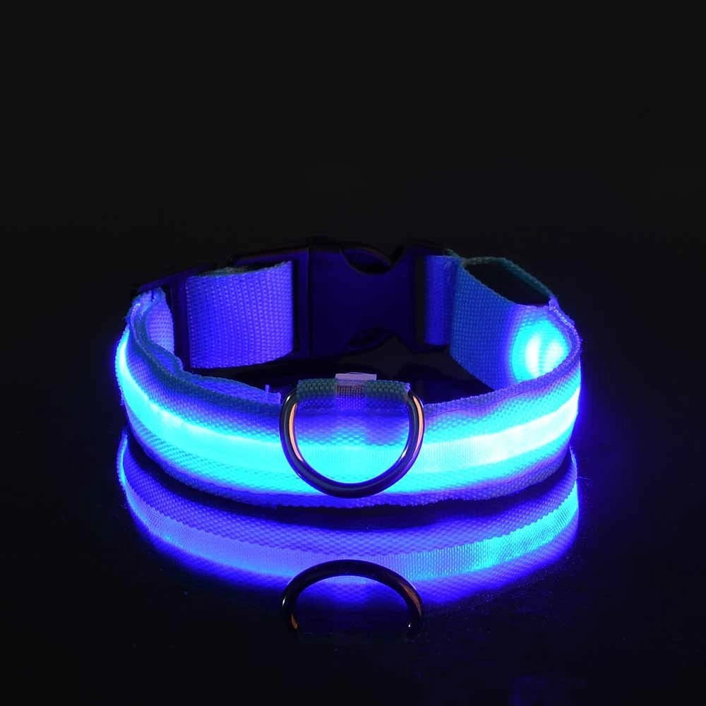 Nylon LED Night Safety Dog Leash Luminous Fluorescent Collar