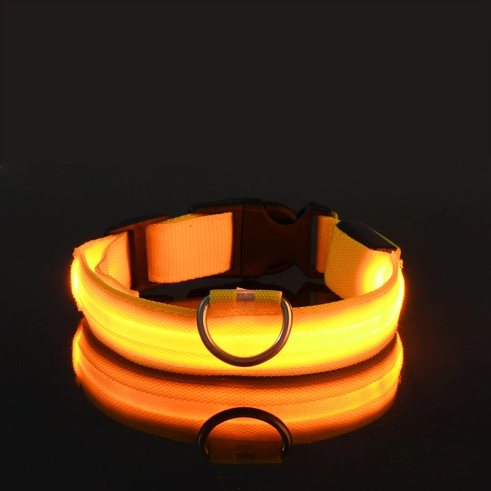Nylon LED Night Safety Dog Leash Luminous Fluorescent Collar