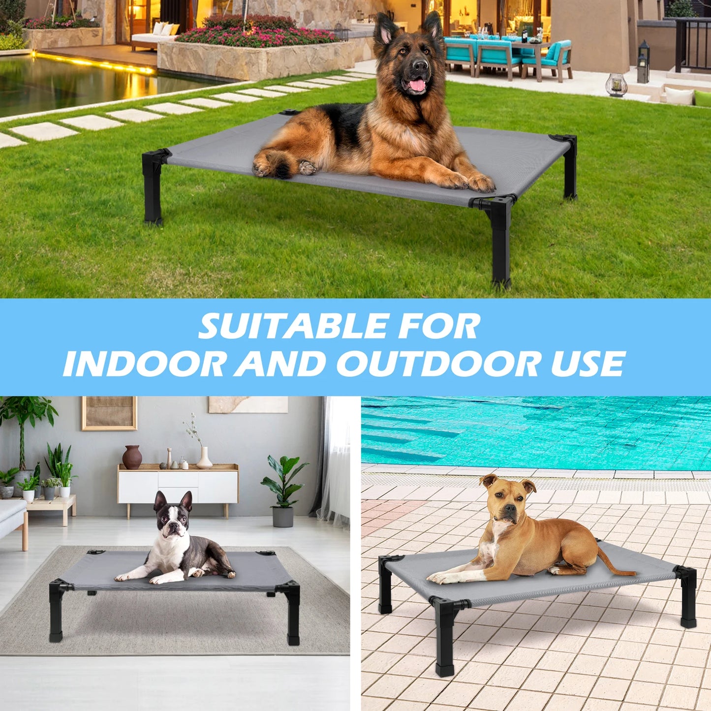 None Elevated Dog Bed Cooling Raised Pet Cot Chew Proof
