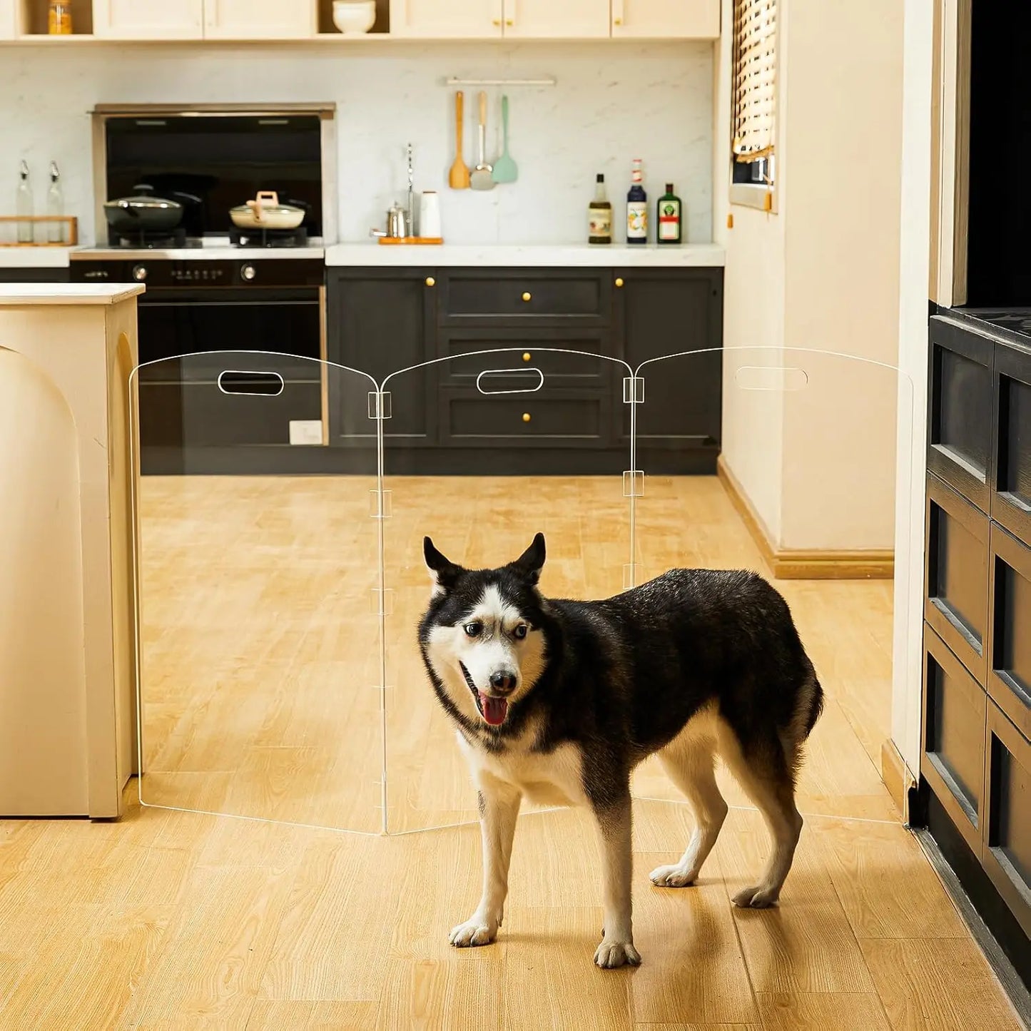 NONEDog Door Modern Frame Clear Acrylic Freestanding Dog Gate