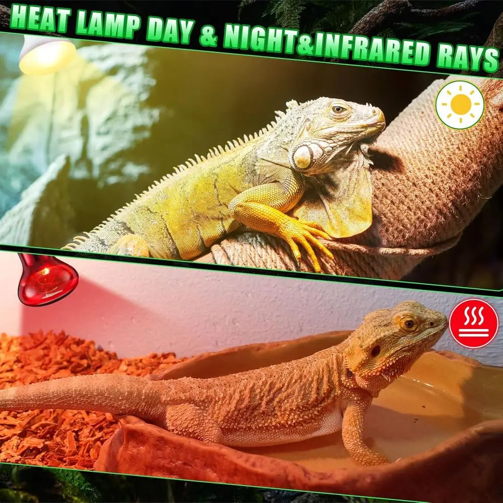 Ten Pack 75W Reptile Heat Lamp Bulbs Day Night Set