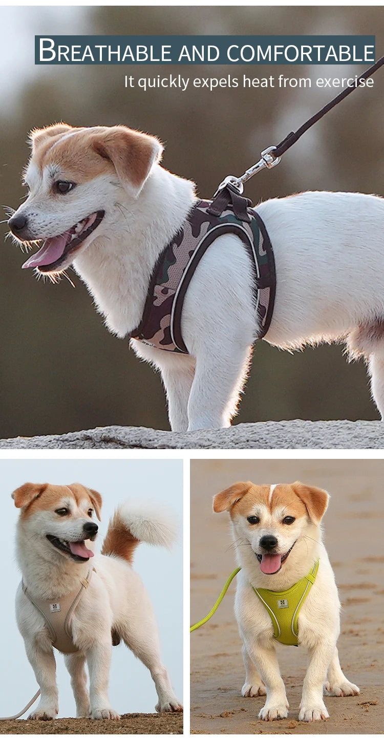 Dog Harness Leash Set Reflective Adjustable Pet Vest For Outdoors