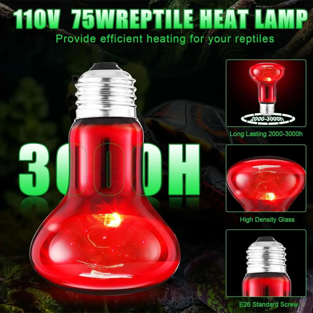 Ten Pack 75W Reptile Heat Lamp Bulbs Day Night Set