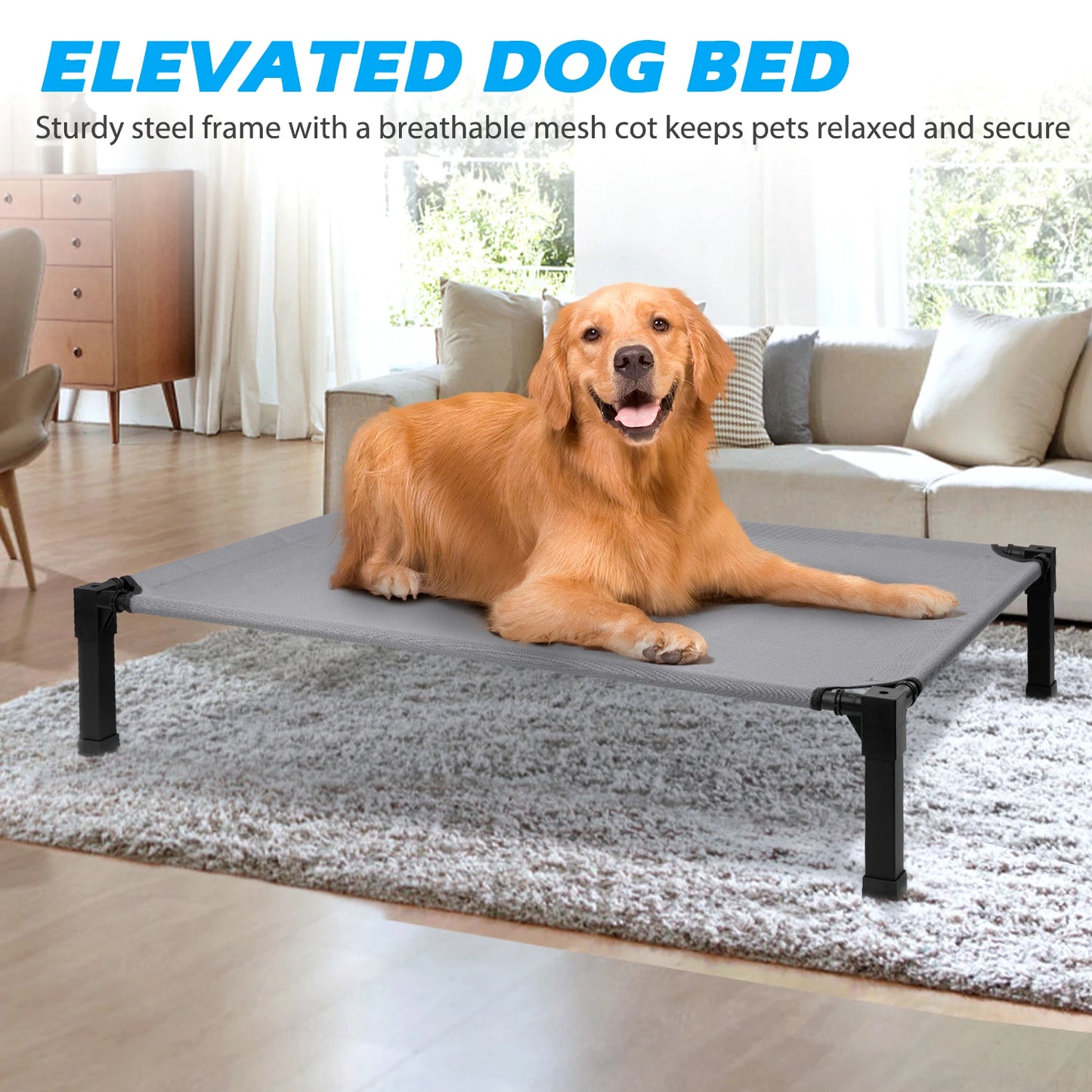 None Elevated Dog Bed Cooling Raised Pet Cot Chew Proof