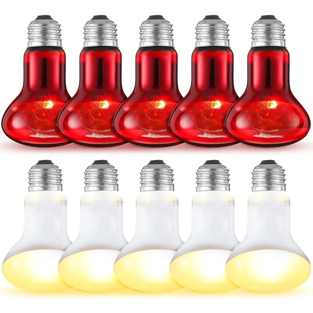 Ten Pack 75W Reptile Heat Lamp Bulbs Day Night Set