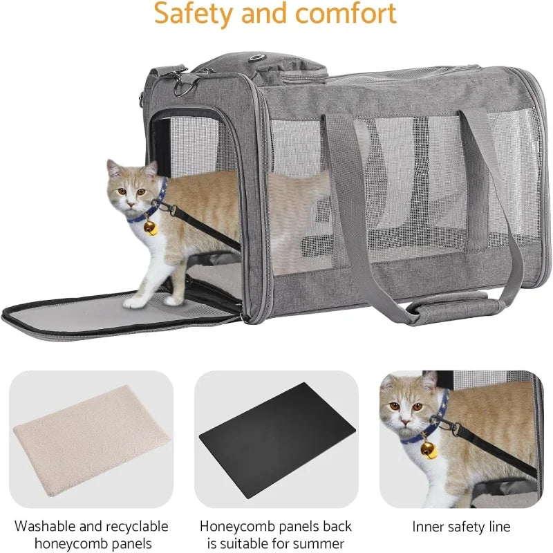 Airline Approved Pet Carrier Backpack For Cats And Dogs