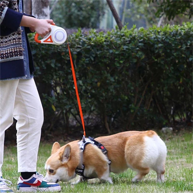 Retractable Dog Leash With LED Flashlight Nylon Lead For Pets