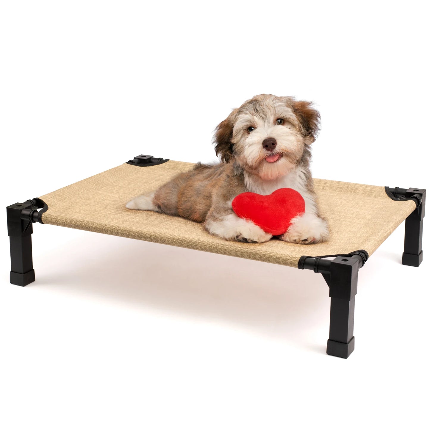 None Elevated Dog Bed Cooling Raised Pet Cot Chew Proof