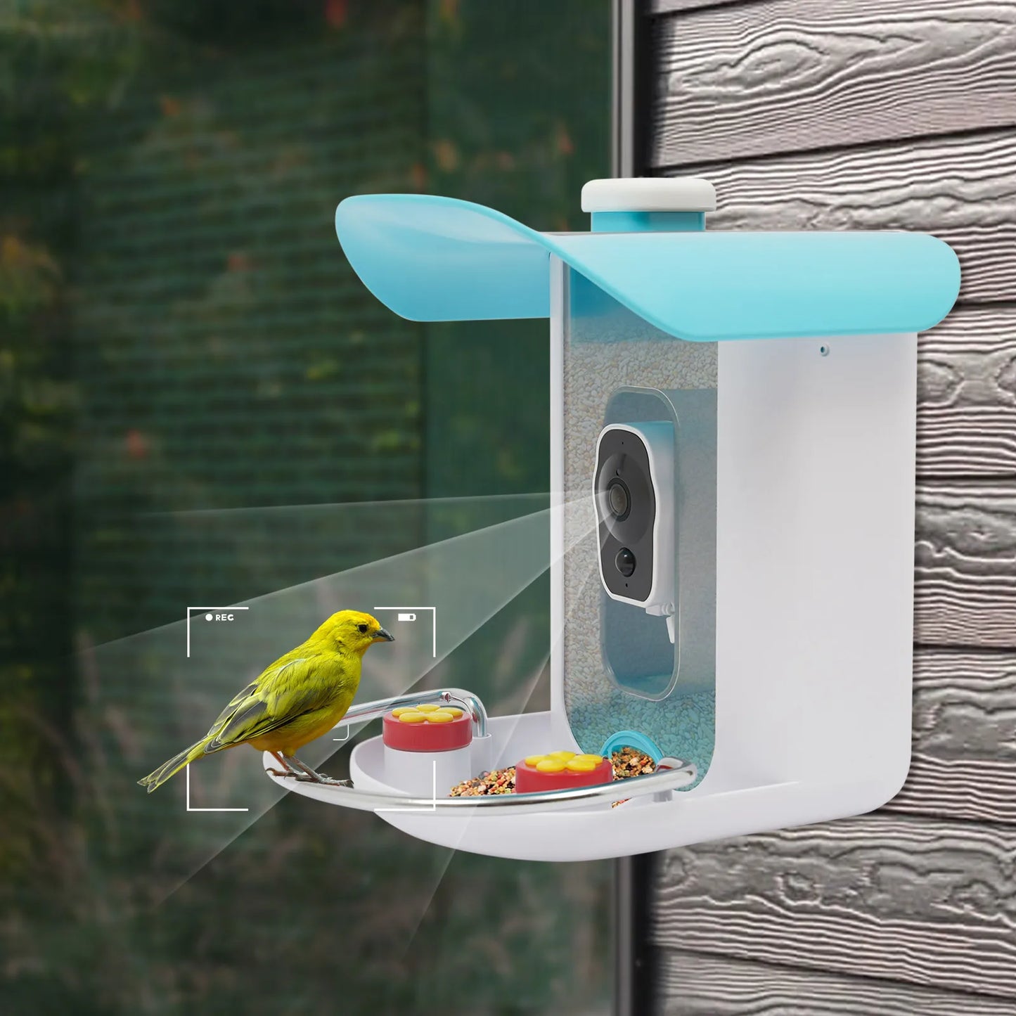 Smart Bird Feeder With Camera Outdoor Auto Capture Solar Panel
