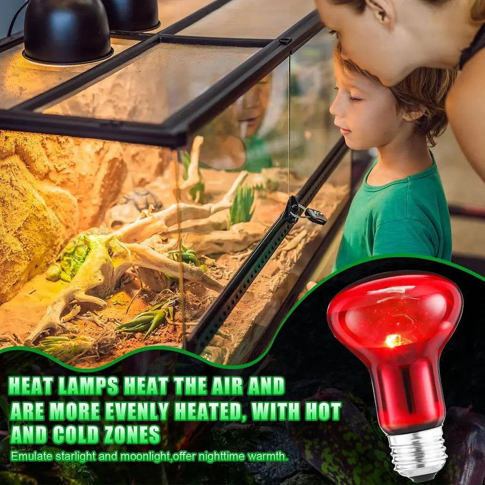 Ten Pack 75W Reptile Heat Lamp Bulbs Day Night Set