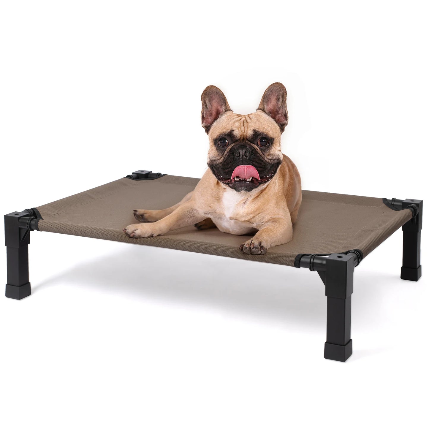 None Elevated Dog Bed Cooling Raised Pet Cot Chew Proof