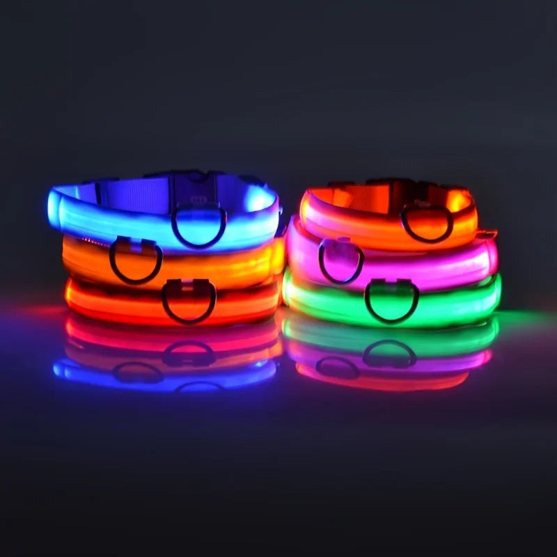 Nylon LED Night Safety Dog Leash Luminous Fluorescent Collar