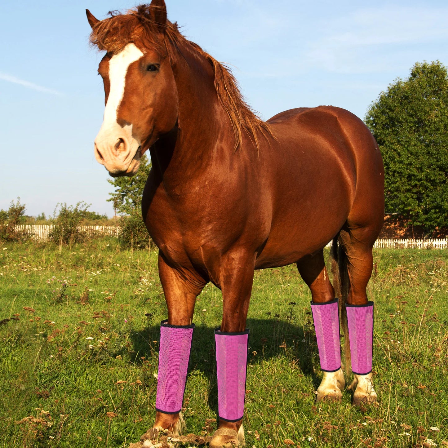 JOCESTYLE Set of 4 Horse Leg Mosquito Protective Covers