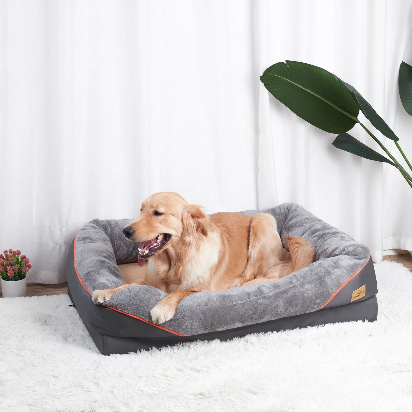 BINGOPAWCN Anti Allergy Dog Bed With Removable Washable Cover Waterproof