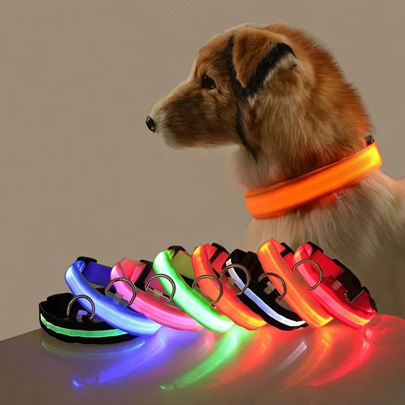 Nylon LED Night Safety Dog Leash Luminous Fluorescent Collar