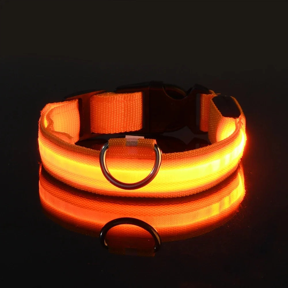 Nylon LED Night Safety Dog Leash Luminous Fluorescent Collar
